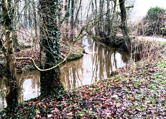 דירה Hemich-esch וולן