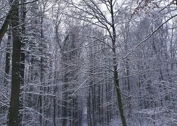 דירה Hemich-esch *